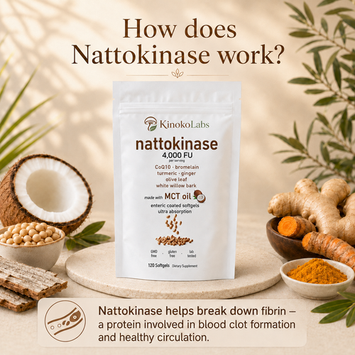 KinokoLabs Nattokinase 4,000 FU - 120 Softgels